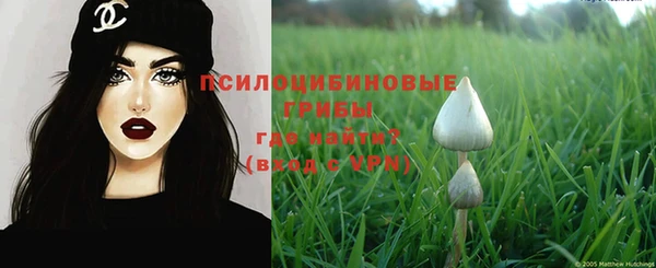 круглые Пересвет